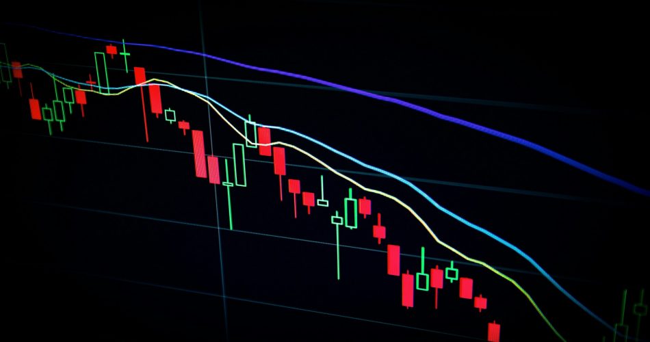 Panduan Praktis Memulai Investasi untuk Pemula