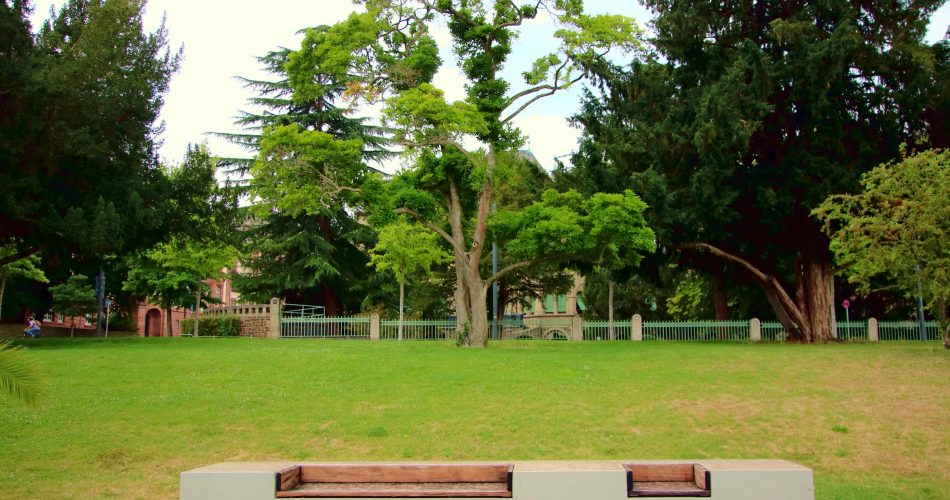 5 Peluang Bisnis Cuan di Area Taman Hiburan