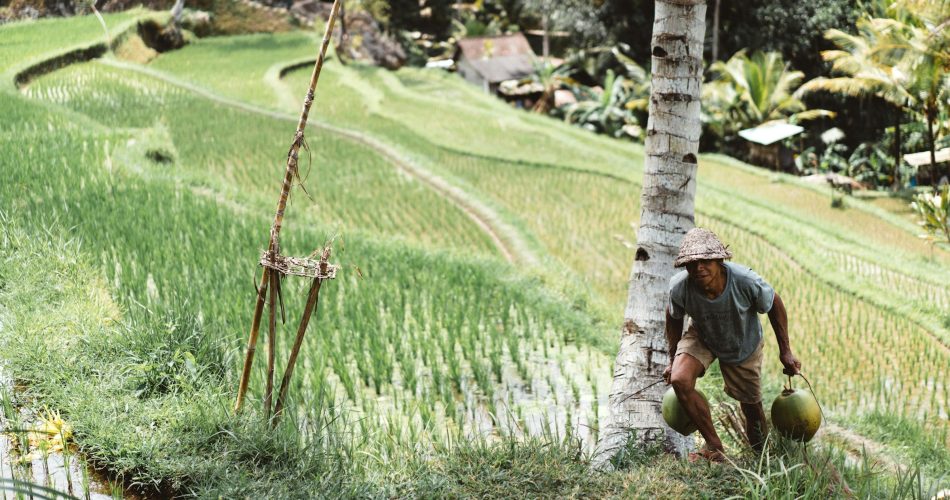 Jangan Khawatir! 15 Pekerjaan Ini Aman dari AI hingga 2027