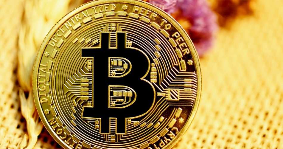Rekor Harga Bitcoin dan Tren Pasar Kripto Terkini