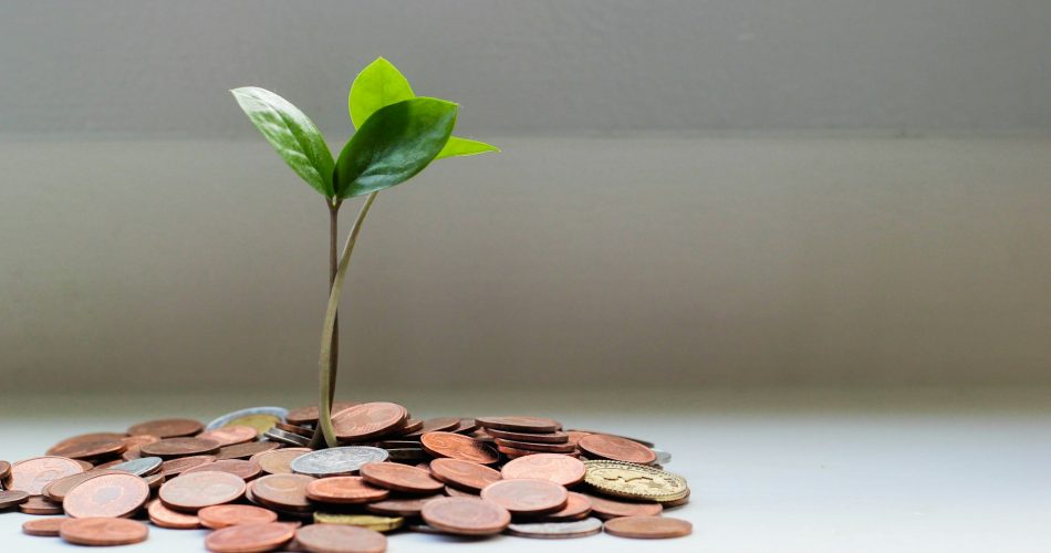Gen Z Wajib Tahu! 5 Skill Finansial yang Bikin Dompet Aman