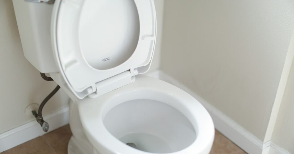 Kenapa Toilet Ada Dua Tombol Flush Ini Alasannya!